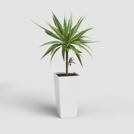 artevasi Pisa Pot | Weiße 14 l Tischvase