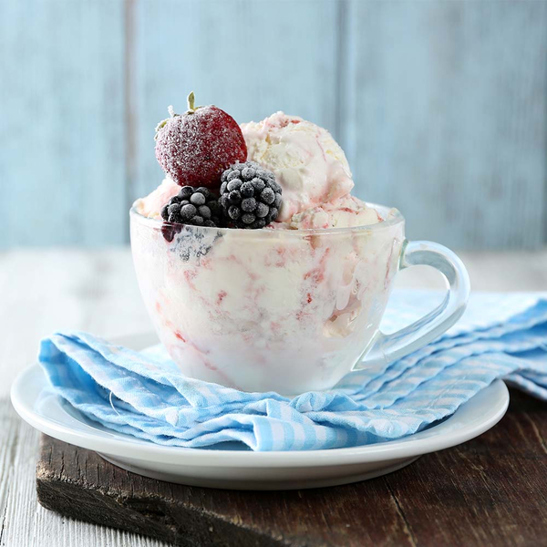 Gastroback Eiscremebehälter 96910 | Kompakter Eisbehälter Gastronomie